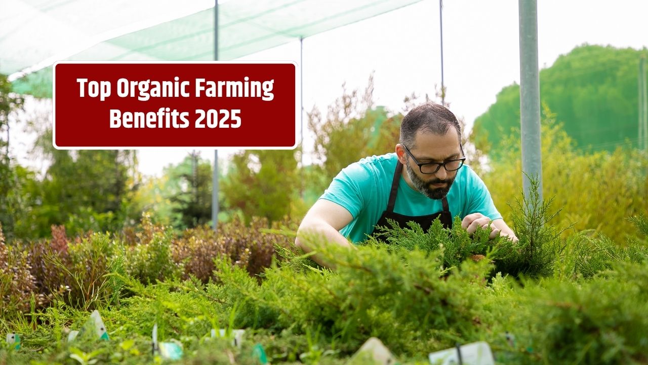 10 Proven Benefits of Switching to Organic Farming for Small Farmers