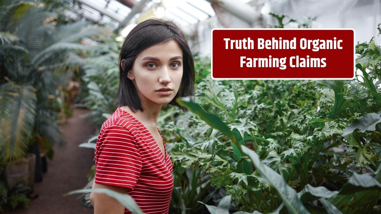 5 Common Myths About Organic Farming Debunked