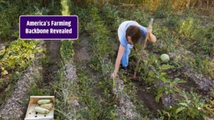 Food Security in America How Small Farms Are Becoming the Backbone