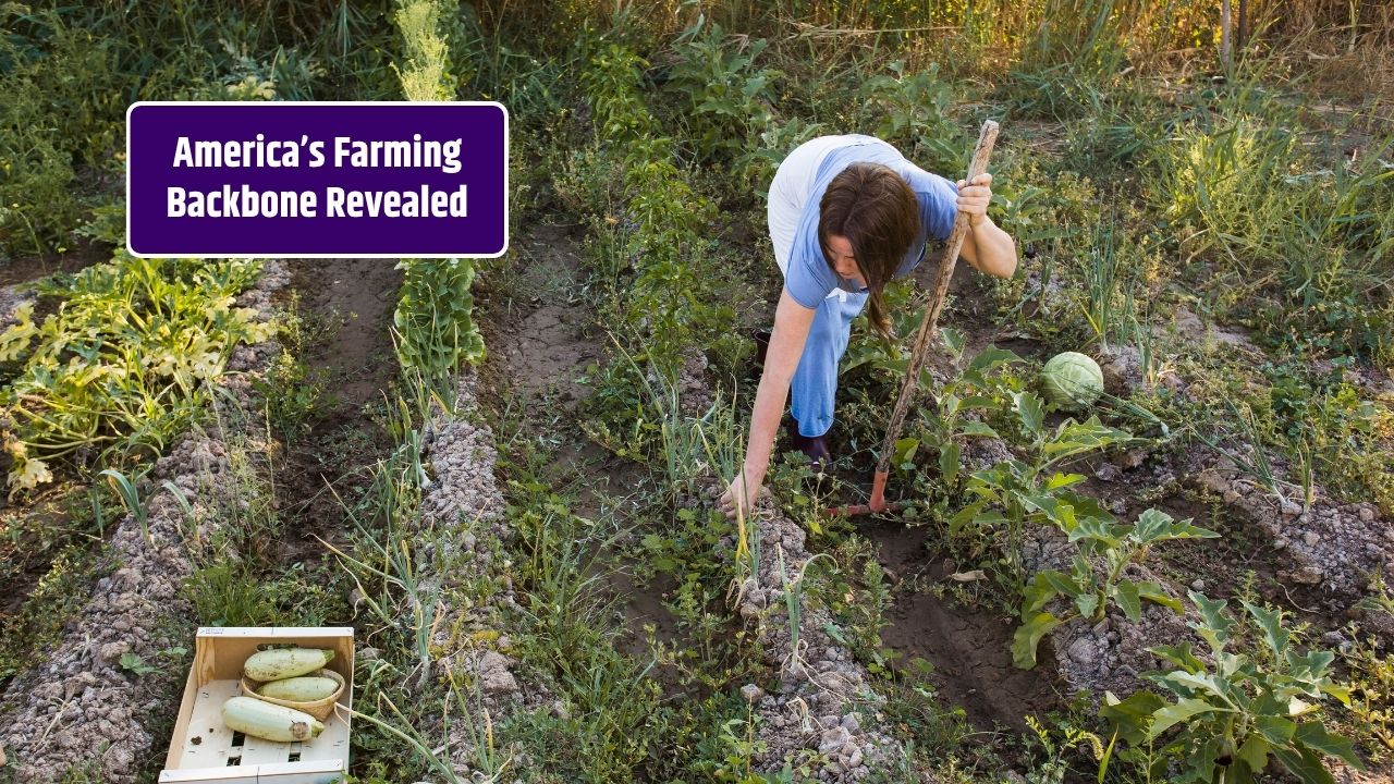 Food Security in America How Small Farms Are Becoming the Backbone