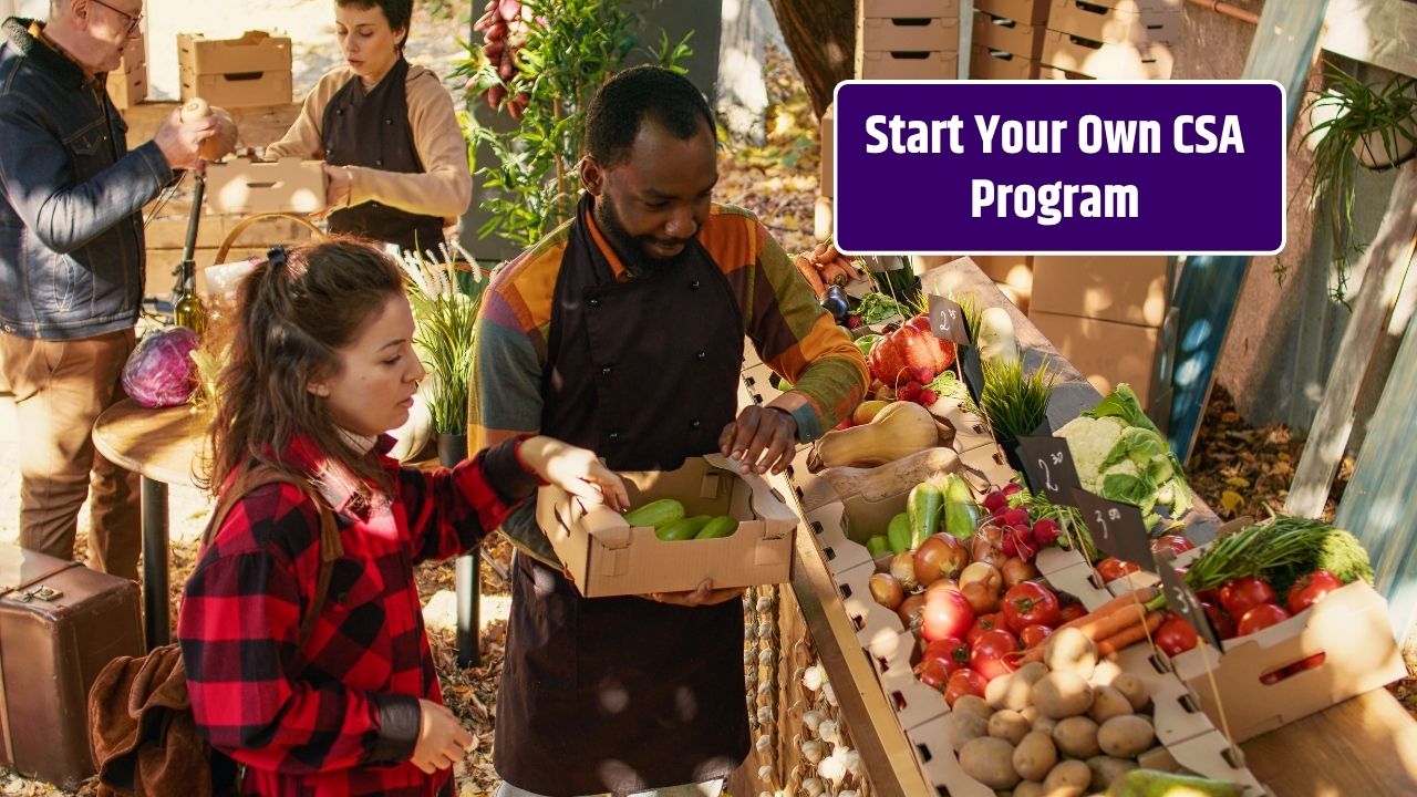 How to Start a Small CSA (Community Supported Agriculture) Program