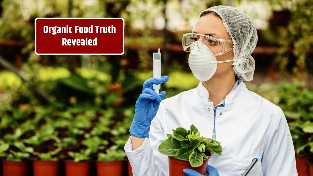 Is Organic Food Really Better - New Research in 2025