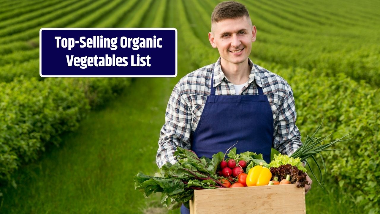 Top 10 Organic Vegetables That Are Easy to Grow and Sell