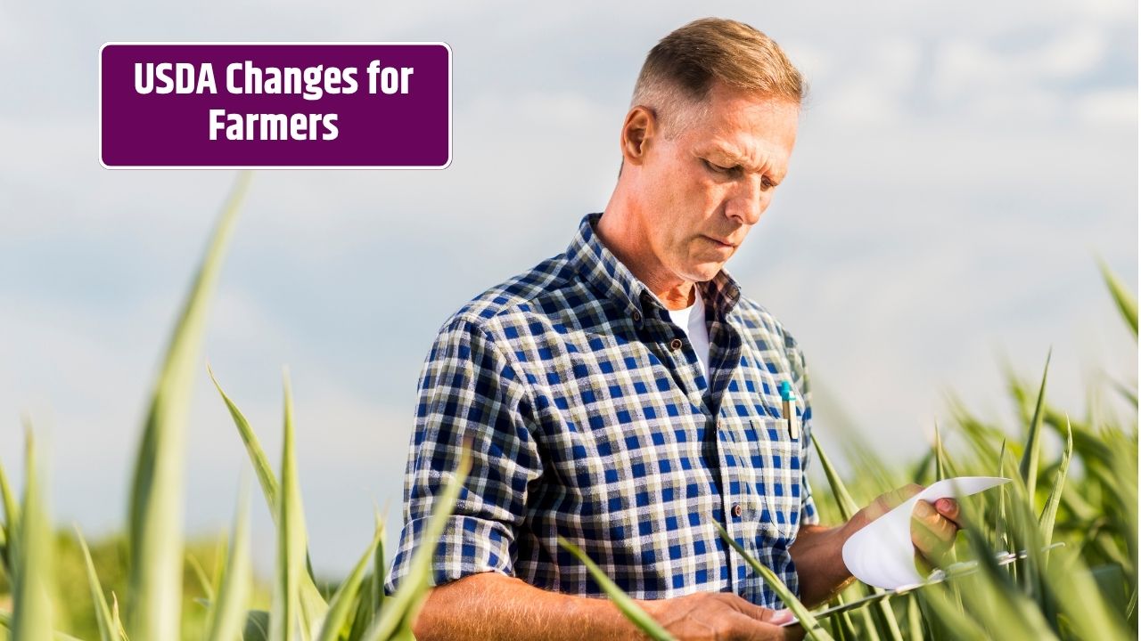 USDA 2025 Policy Changes Every Small Farmer Should Know