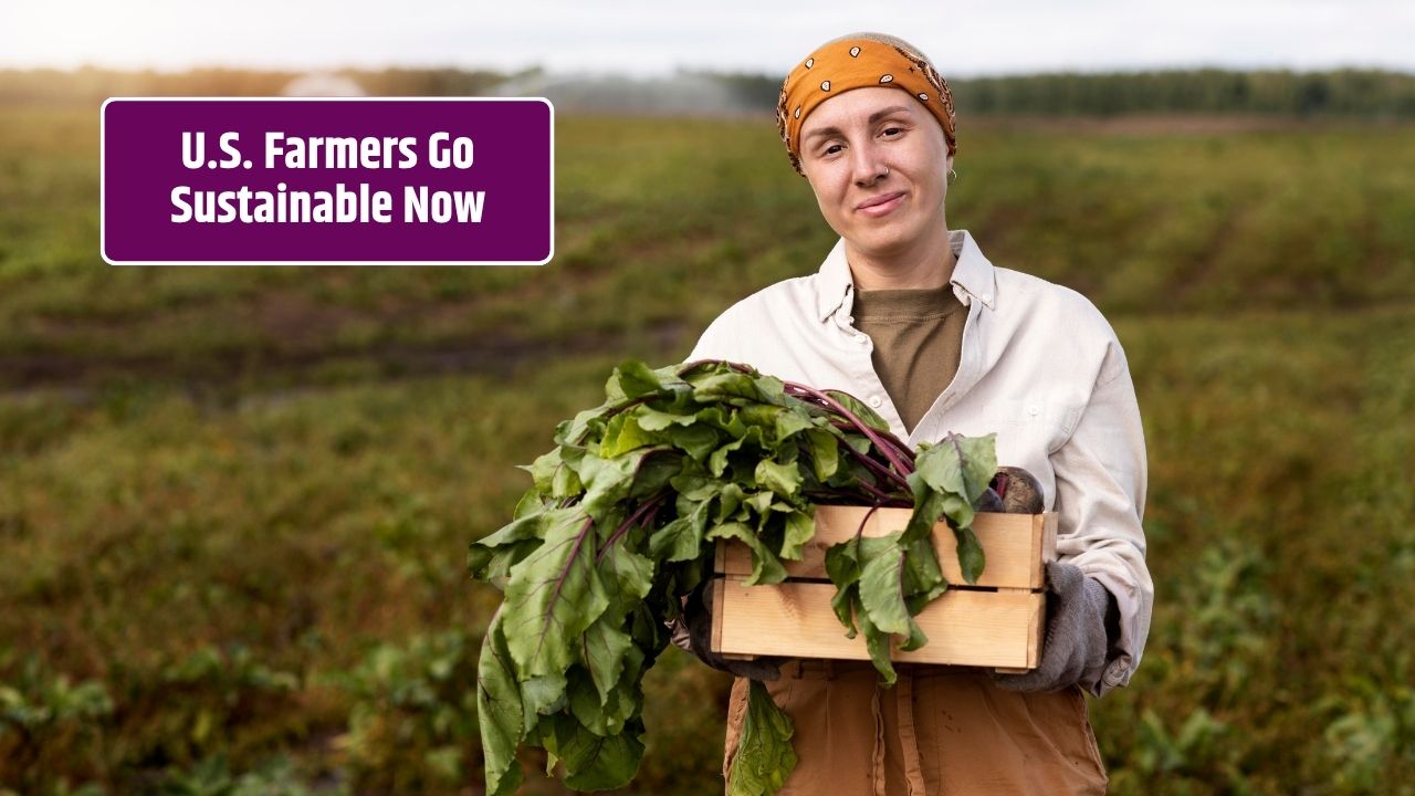 Why More U.S. Farmers Are Switching to Sustainable Agriculture